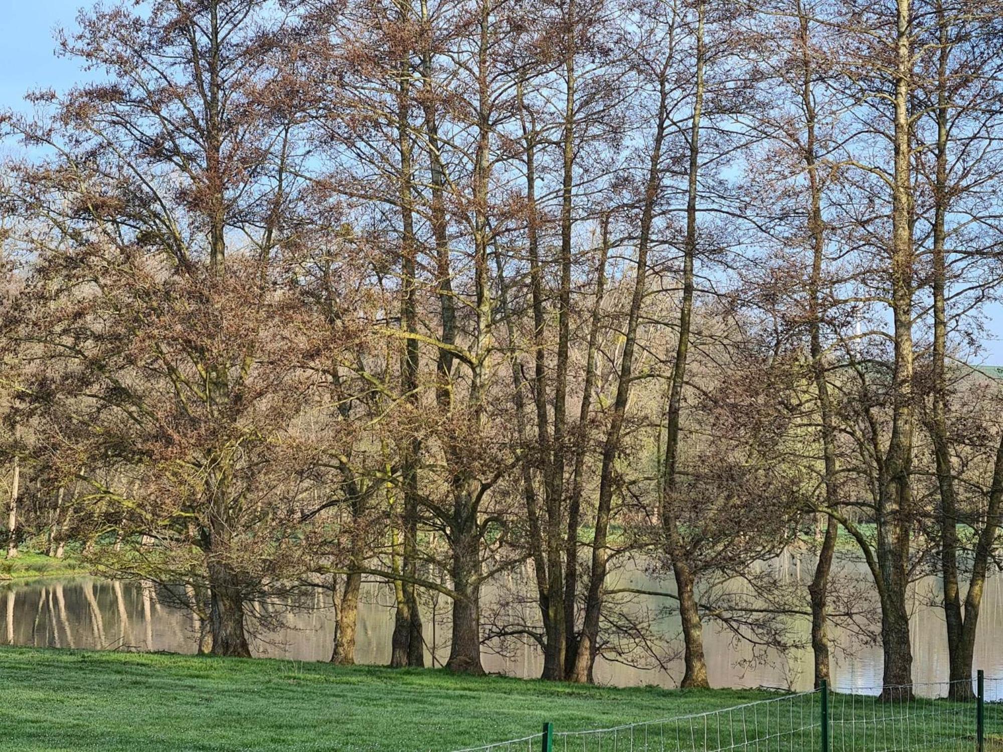 La Taniere Villa Gueures ภายนอก รูปภาพ